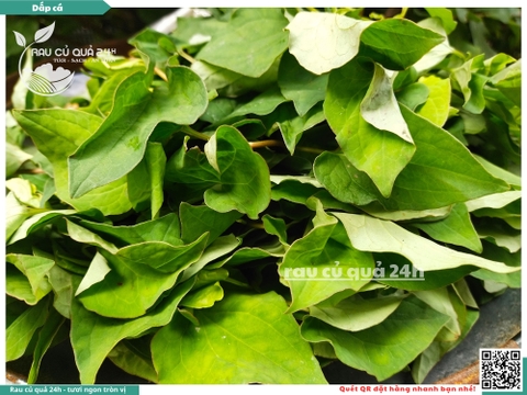 Rau thơm - dấp cá (Diếp cá) 65g