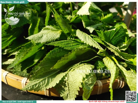 Rau thơm - Kinh giới 65g