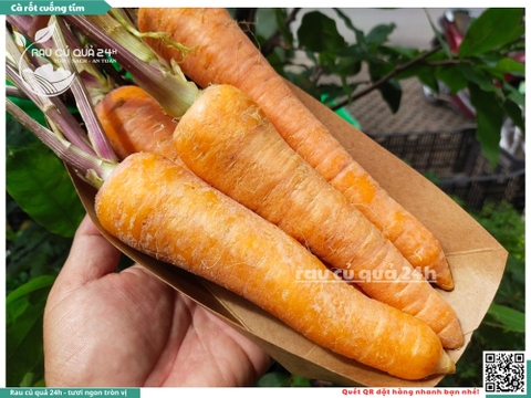 Cà rốt cuống tím khoảng 1kg