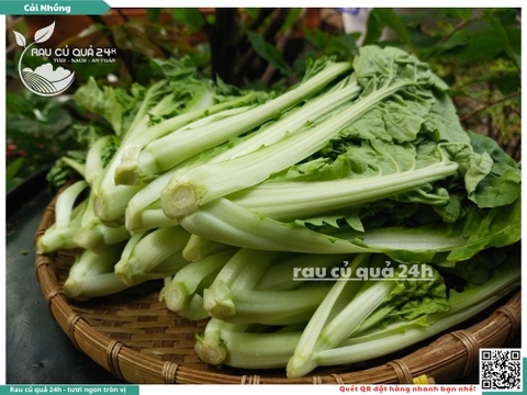 Rau cải nhúng baby khoảng 300g