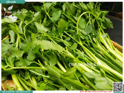 Rau Cần nước khoảng 400g