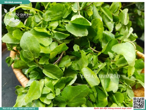 Rau Xà lách xoong Đà Lạt - 400g