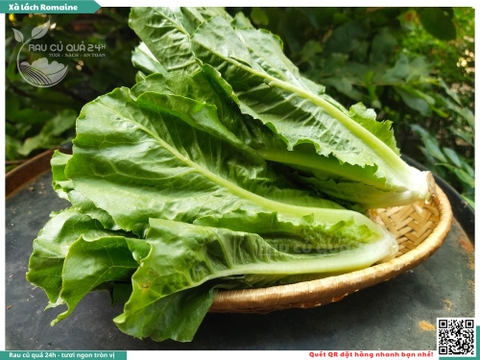 Xà lách Romaine - 250g