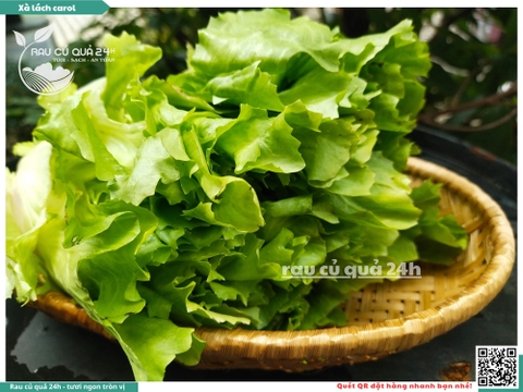 Xà lách Carol - Khoảng 300g
