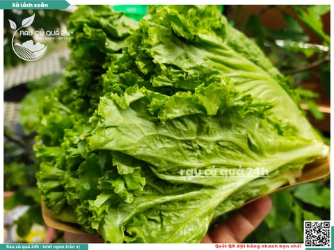 Xà lách Gai - 250g