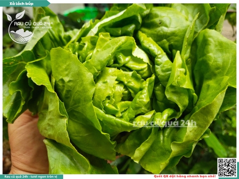 Xà lách búp - 350g