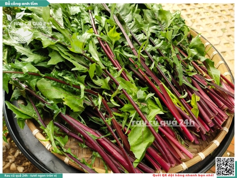 Rau Bồ Công Anh Tím khoảng 250g