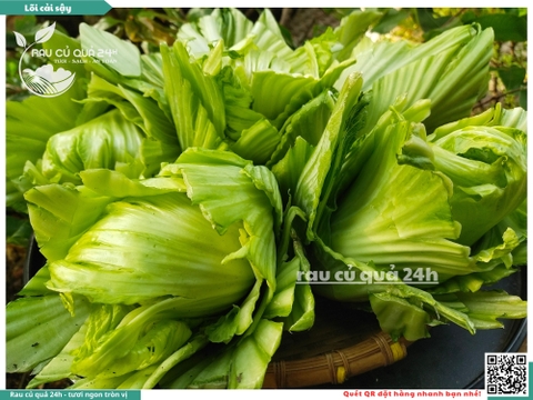 Cải sậy - cải muối dưa sơ chế