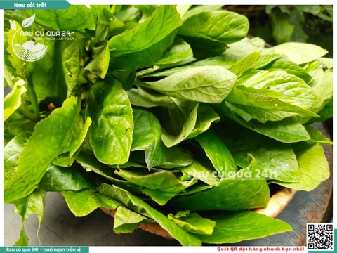 Rau cải trời khoảng 300g