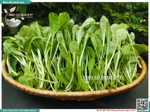 Rau cải xanh con khoảng 300g