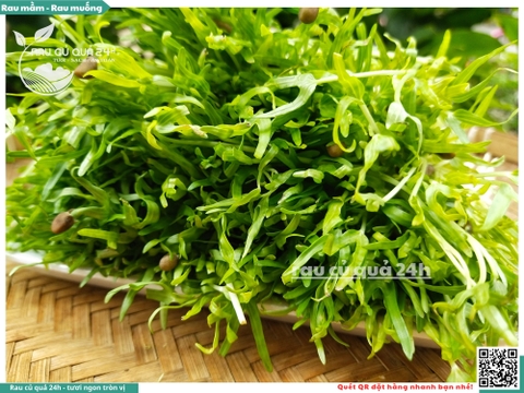 Mầm rau muống hạt khoảng 250g