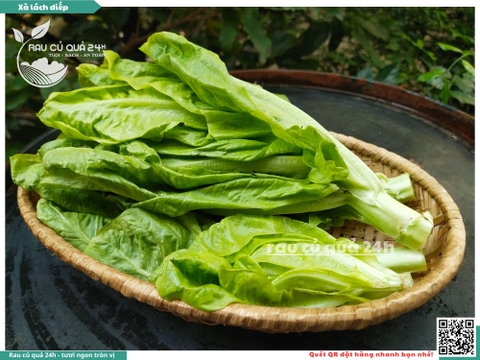 Xà lách diếp khoảng 250g