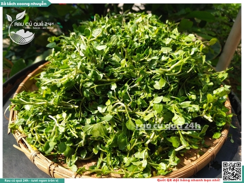 Rau xà lách xoong nhỏ (xoong nhuyễn) khoảng 250g
