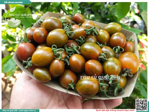 Cà chua cherry socola 250g