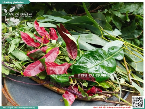 Combo Lá xông giải cảm