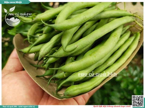 Quả Đậu Cove Nhật - 400g