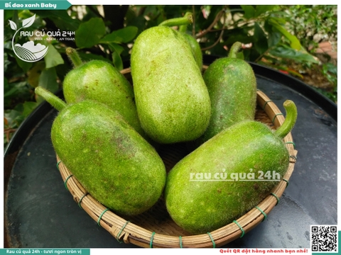 Quả Bí đao xanh baby - 2 trái