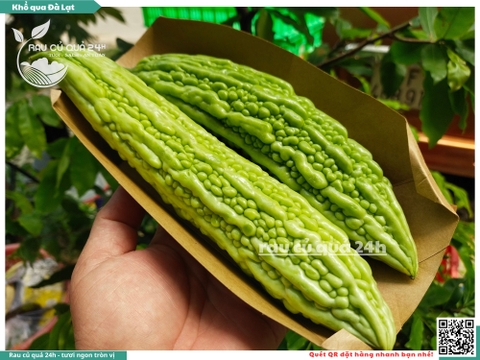 Quả Khổ qua Đà Lạt - 3 quả