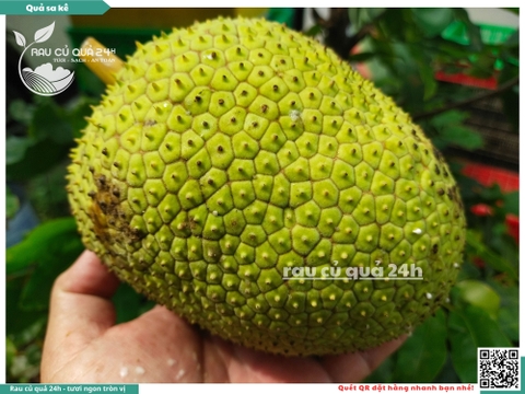 Quả Sa kê - 1 quả