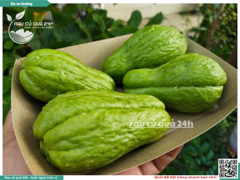 Quả su su baby - 300g