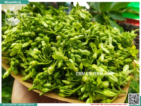 Bông thiên lý 250g