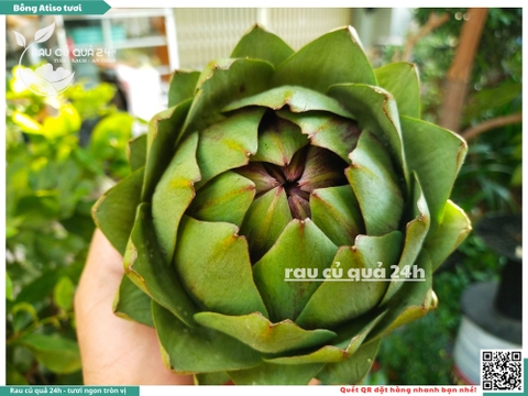 Bông Atiso tươi 1 bông