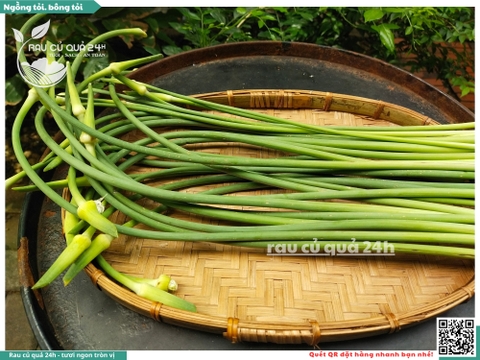 Ngồng tỏi, bông tỏi 500g