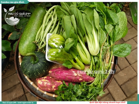 Combo family 89k_002