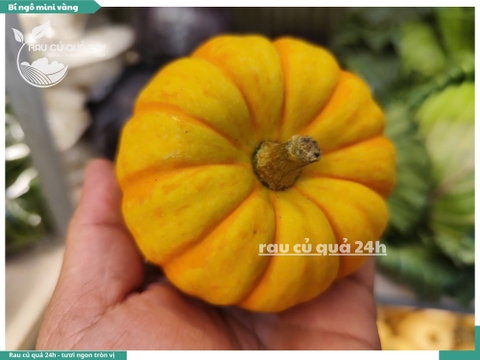 Bí ngô mini vàng 1 quả khoảng 200g
