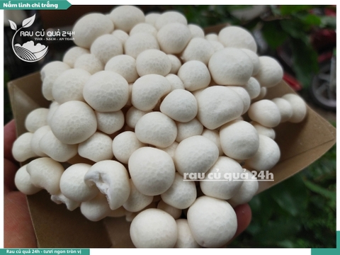 Nấm linh chi trắng - 175g