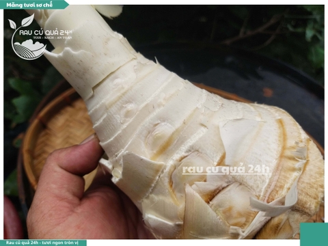 Măng tươi sơ chế - 1 cây