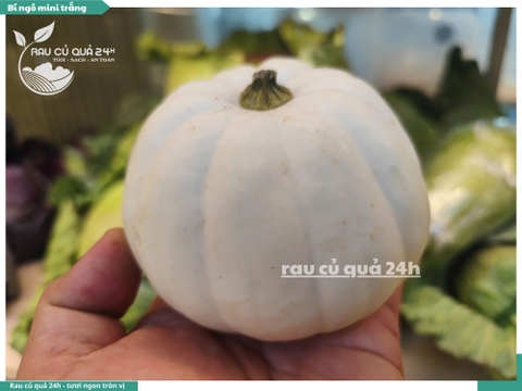 Bí ngô mini trắng