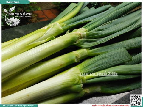 Rau nêm Hành Paro 2 cây khoảng 450g
