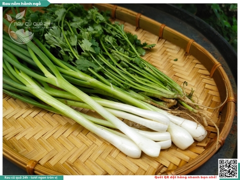 Rau Nêm Hành - ngò khoảng 100g