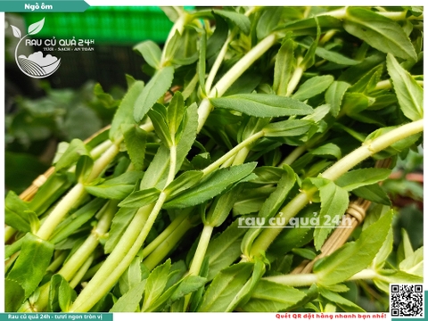 Rau nêm Ngò ôm 65g