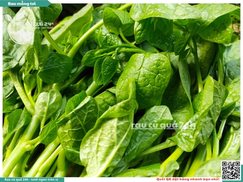 Rau Mồng tơi - 300g