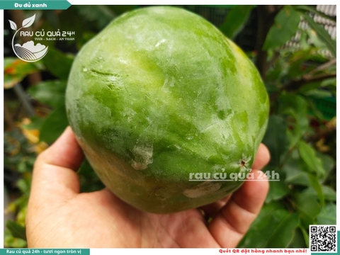 Quả Đu đủ xanh - 1 quả