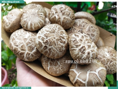 Nấm đông cô tươi khoảng 175g