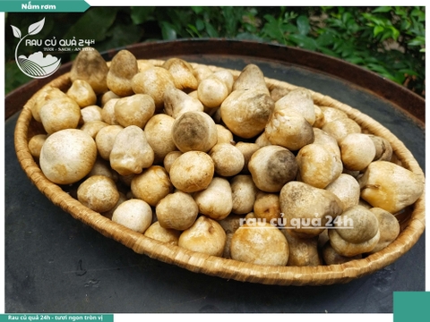 Nấm rơm - 200g