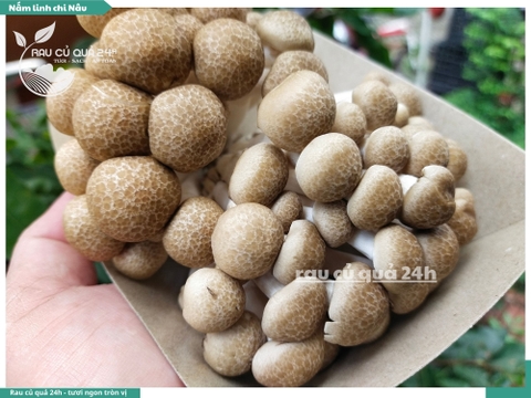 Nấm linh chi nâu khoảng 175g