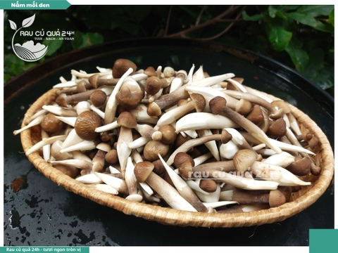 Nấm mối đen - 400g