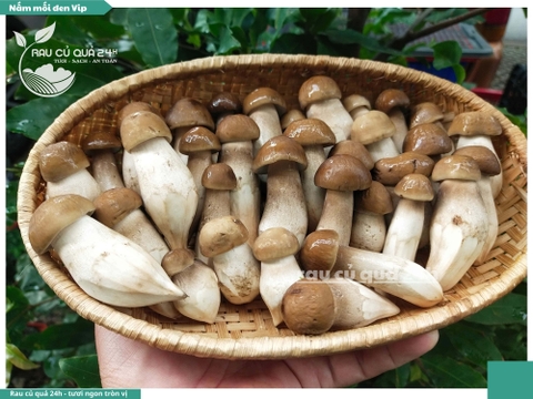 Nấm mối đen vip - 400g