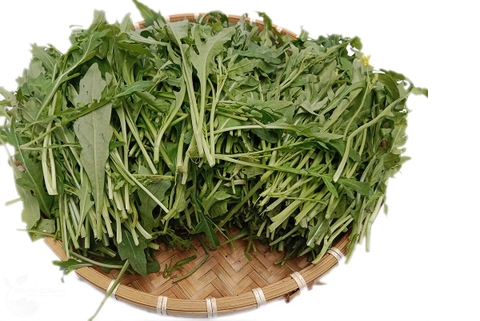 Rau salad Rocket khoảng 200g