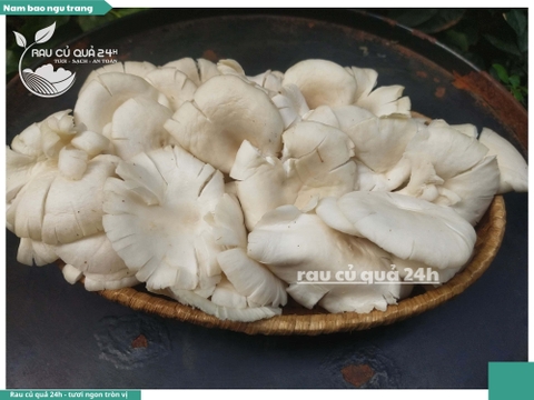 Nấm bào ngư trắng khoảng 200g