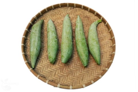 Khổ qua tây 3 quả khoảng 400 - 600g
