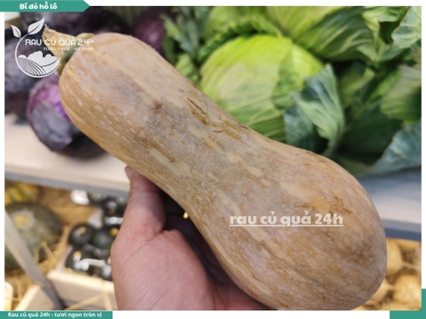 Bí đỏ Hồ Lô 1 quả khoảng 700g