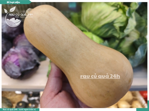 Bí hạt đậu, bí sữa 1 quả khoảng 700g