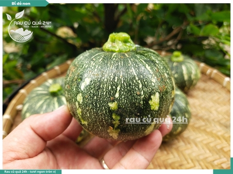 Quả Bí đỏ non