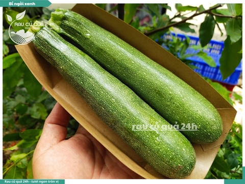 Bí Ngòi xanh 2 quả khoảng 600 - 800g