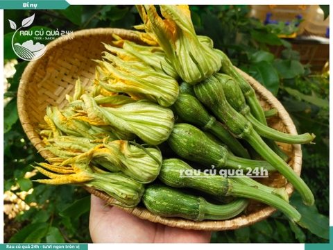 Bí nụ 330g